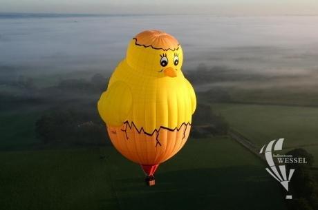Luchtballon kuiken Barneveld